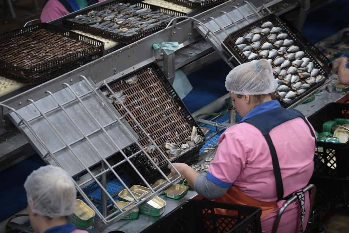 Desigualdades de género no emprego são maiores do que se pensava