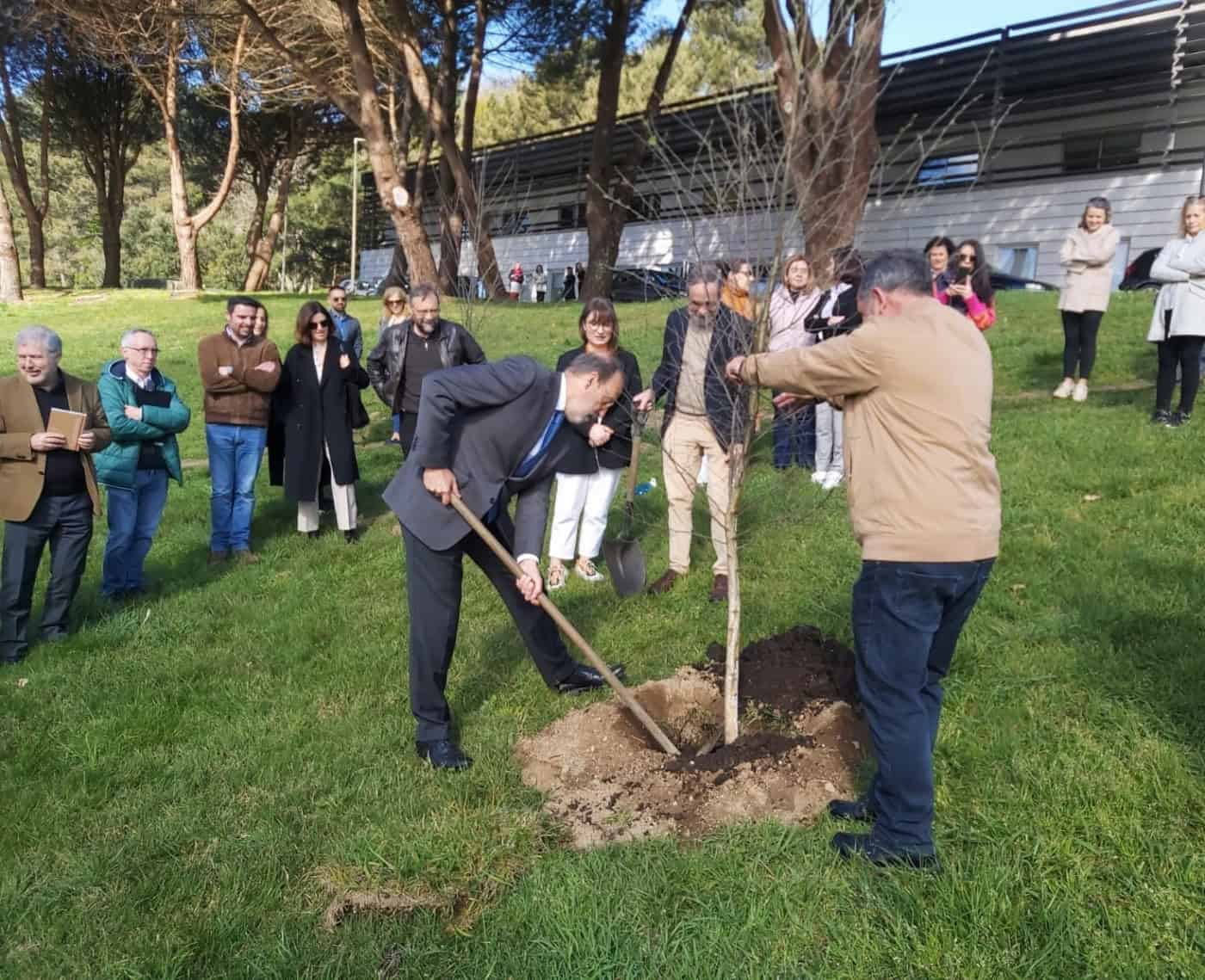 UMinho cria dois bosques para reforçar dimensão ambiental e "construir o futuro"