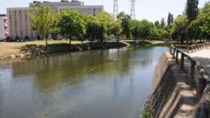 Vereador do Ambiente diz que Braga já tem 'guarda-rios' há mais de um ano