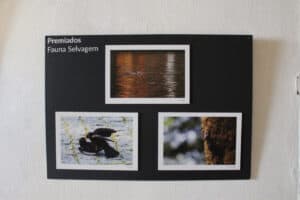 "O objetivo é que o concurso 'Braga Natural' seja uma referência a nível nacional"