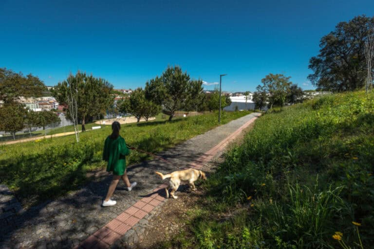Conselho Municipal do Ambiente. PAN quer maior representatividade e objetivos “menos vagos”