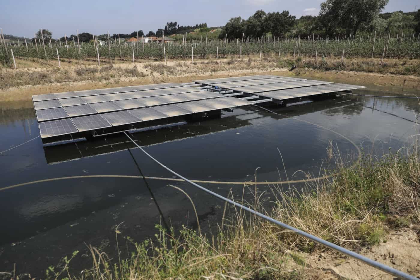 Banco da UE empresta 155 ME a empresas portuguesas para investimentos digitais e ‘verdes’