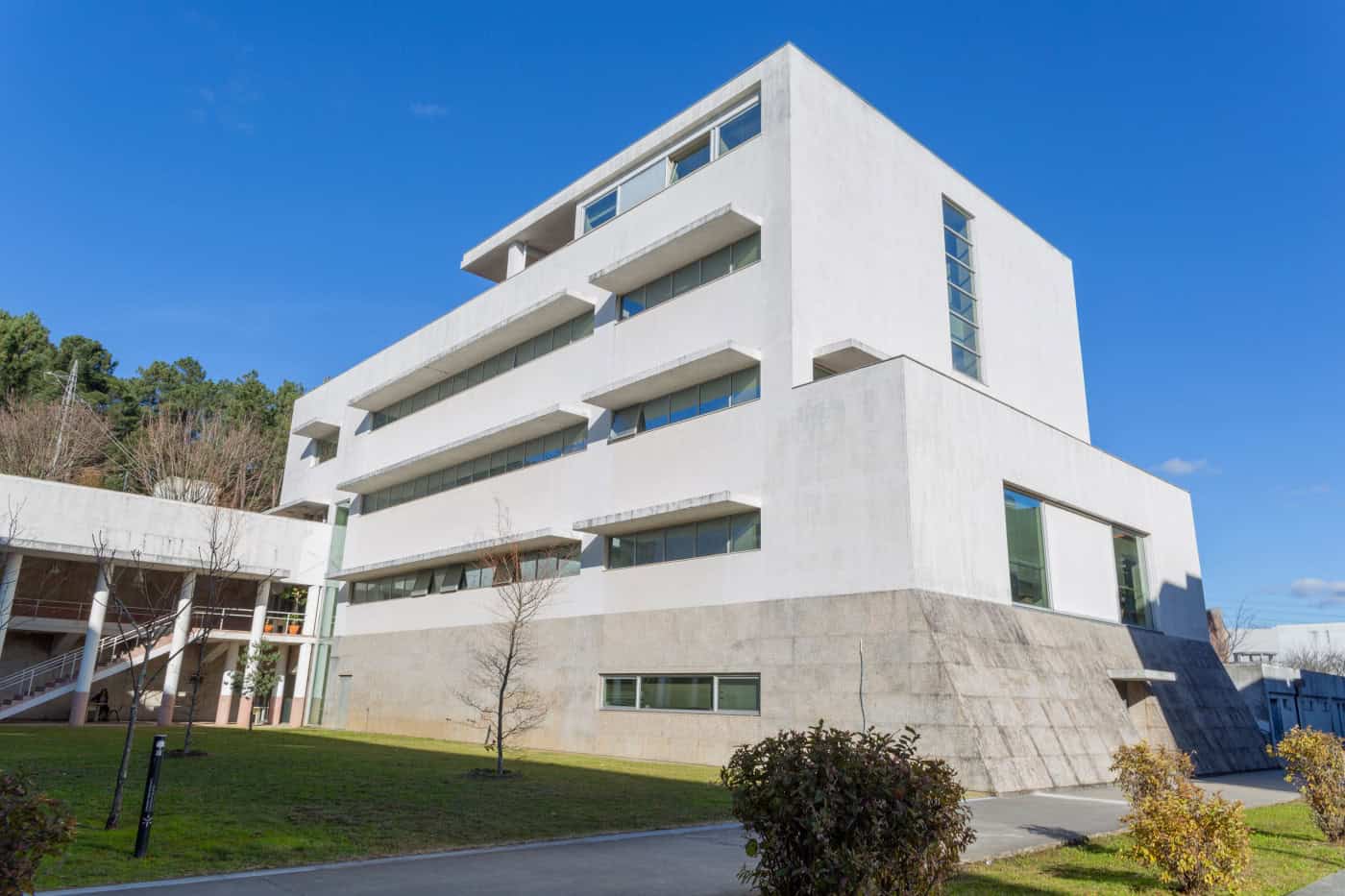 UMinho cria fórmula que substitui químicos sintéticos em produtos cosméticos e alimentares