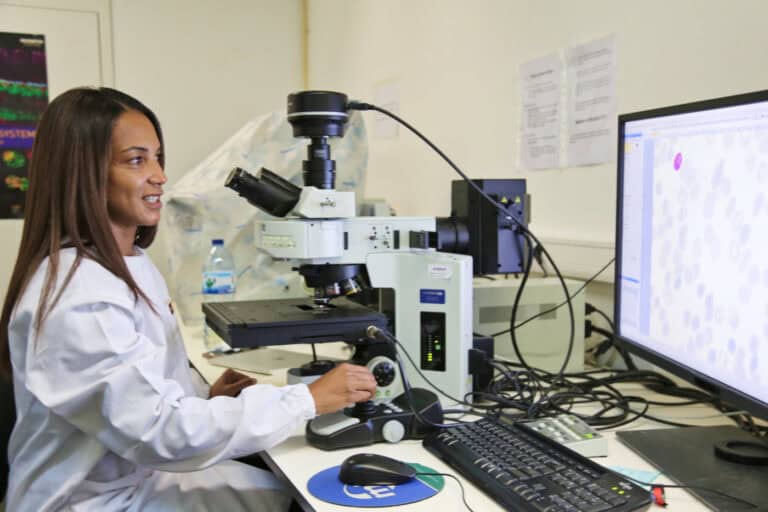 Investigadora da UMinho recebe prémio atribuído pelo governo de Angola