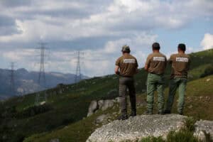 Governo vai reforçar financiamento das equipas de sapadores florestais