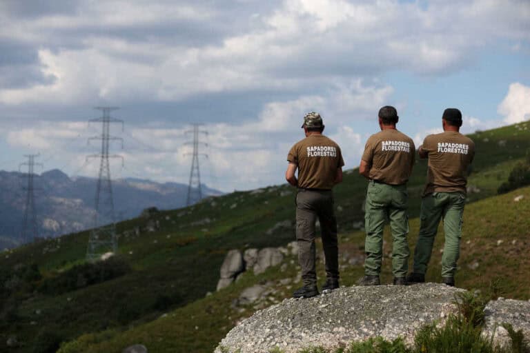 Governo vai reforçar financiamento das equipas de sapadores florestais