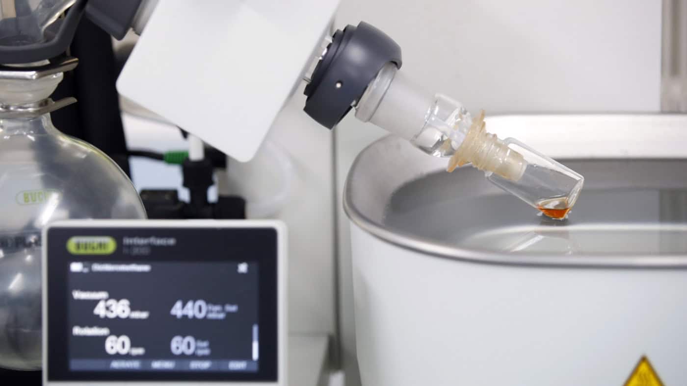 Estudo revela avanço promissor no diagnóstico da doença de Parkinson&nbsp;