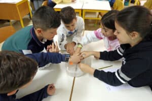 Projeto 'Cientista regressa à escola' promove cultura e literacia científica