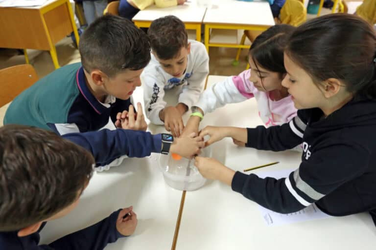 Projeto 'Cientista regressa à escola' promove cultura e literacia científica