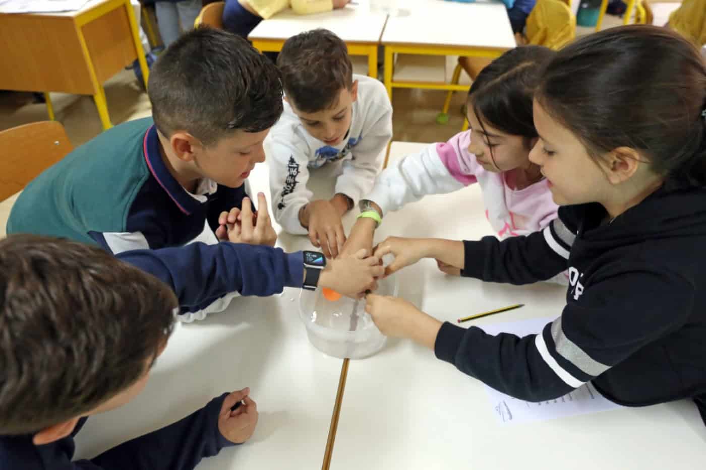 Projeto 'Cientista regressa à escola' promove cultura e literacia científica
