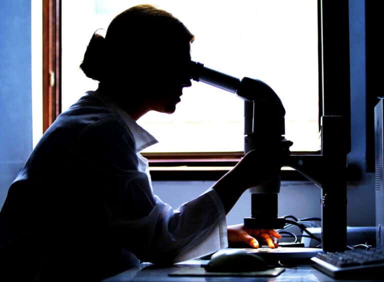 Evento reúne em Portugal investidores com 10.000 ME para aplicar na longevidade&nbsp;