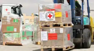 Primeiro avião com oito toneladas de material médico aterra no Sudão&nbsp;