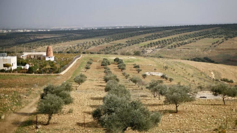 Portugal esgota hoje os recursos disponíveis para este ano