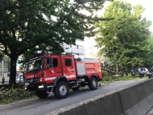 Queda de árvore na Avenida António Macedo danifica viatura e condiciona o trânsito