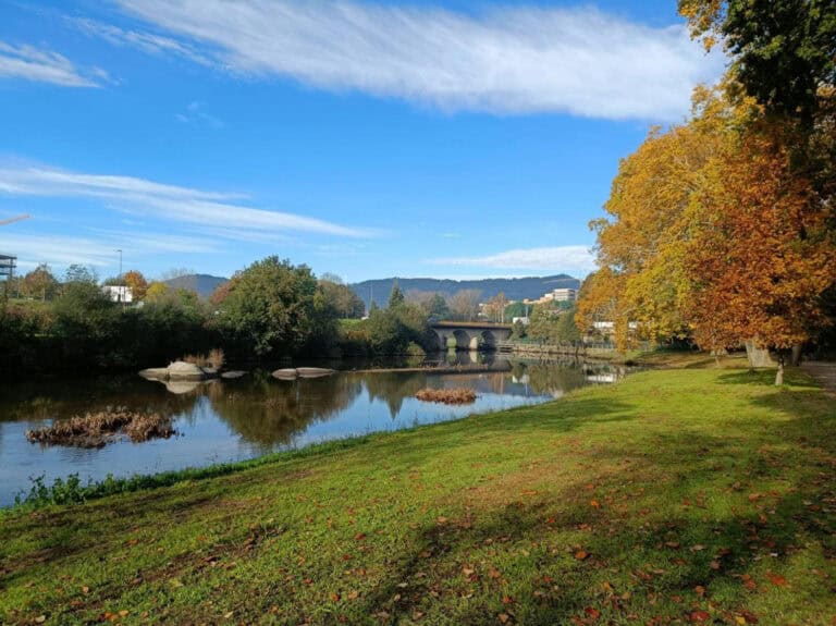 Estudantes de Erasmus da UMinho limpam Rio Ave