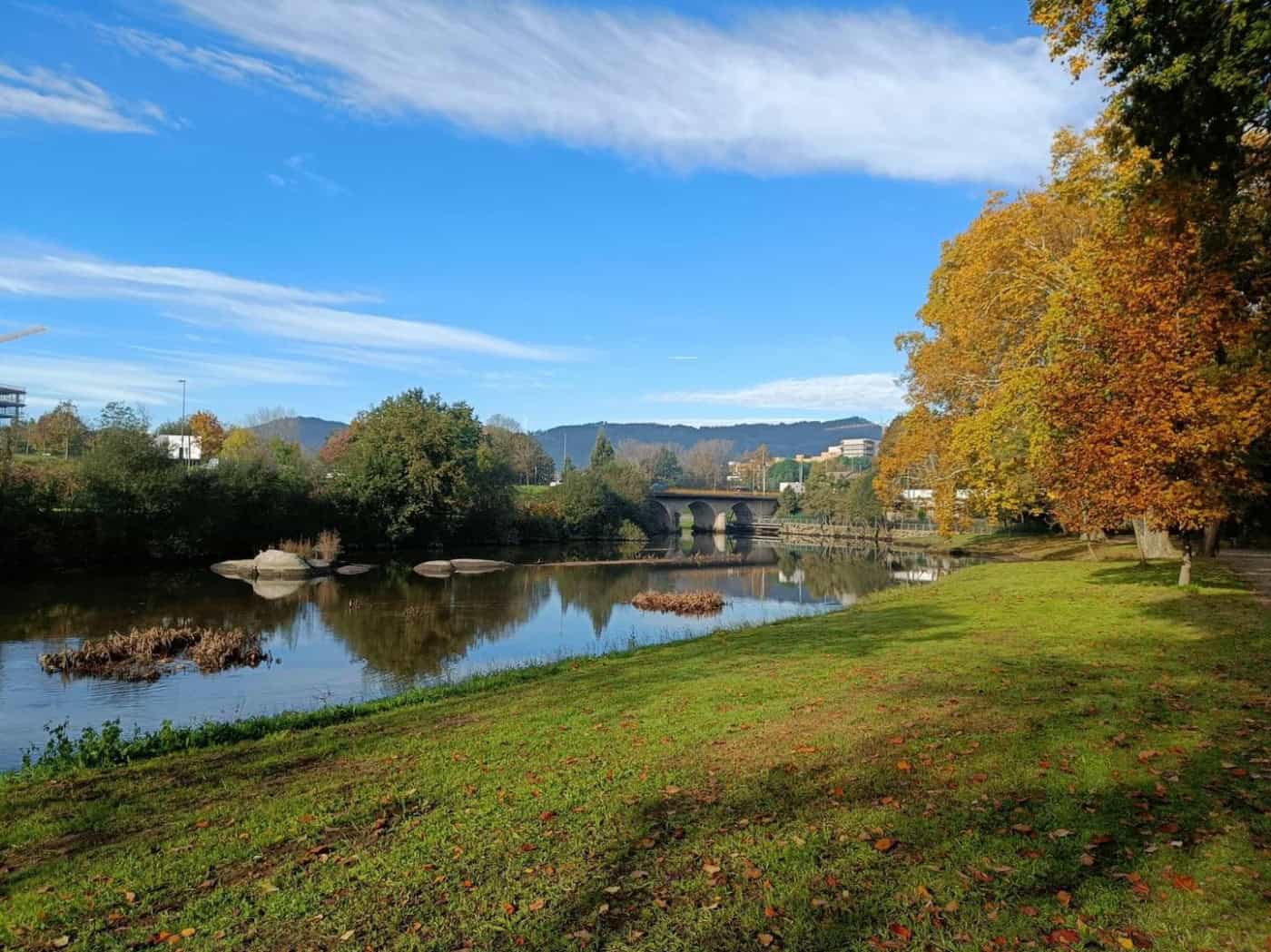 Estudantes de Erasmus da UMinho limpam Rio Ave