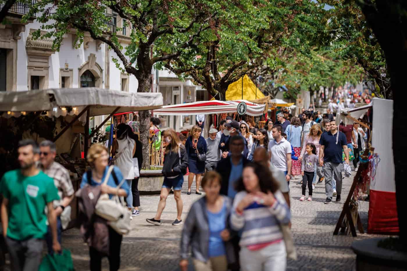 Rio acredita que Rampa da Falperra e Braga Romana podem "superar as expectativas"