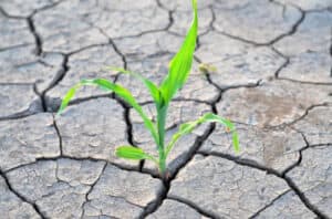 Esposende aprova Plano de Prevenção e Contingência para Situações de Seca