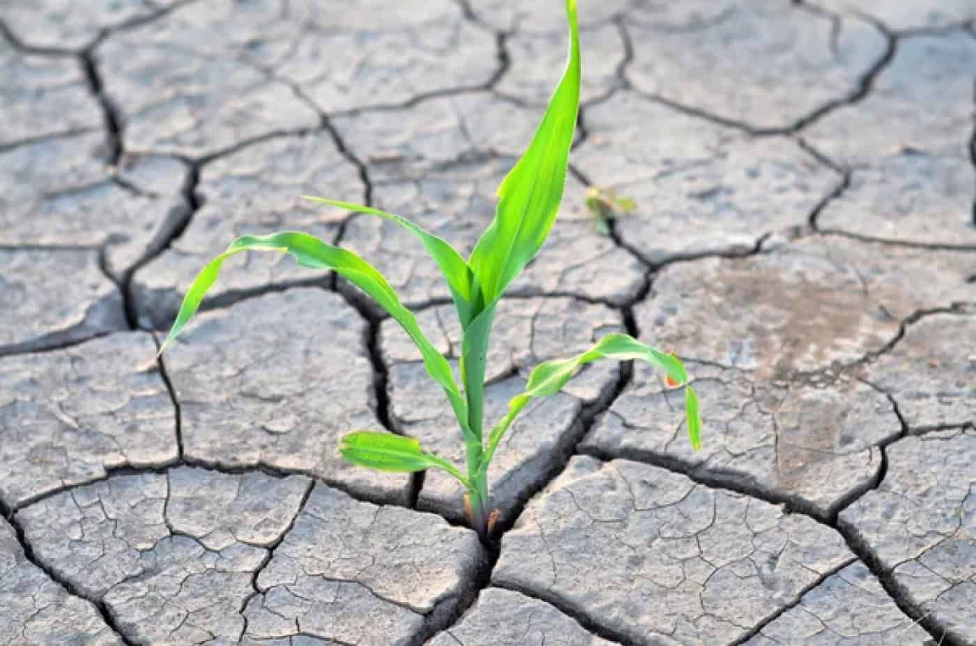 Esposende aprova Plano de Prevenção e Contingência para Situações de Seca