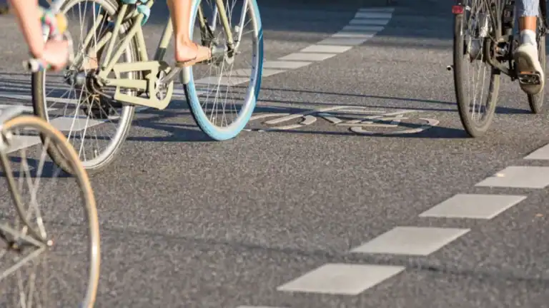 "Portugal é o país que menos investe na mobilidade em bicicleta em toda a Europa"