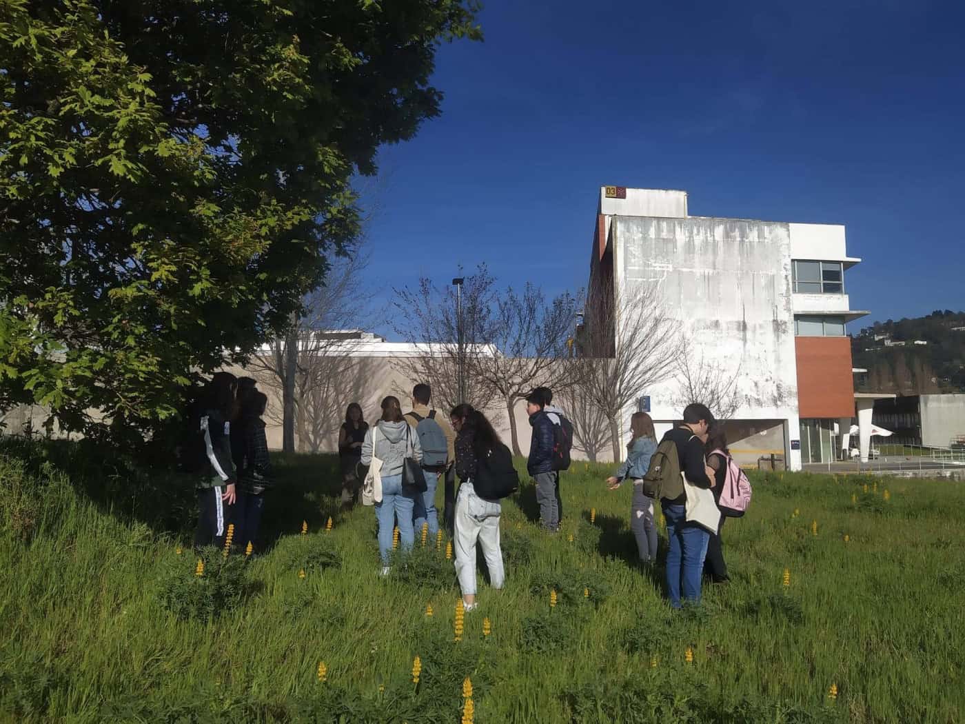 BioCampus: Alunos da UMinho já identificaram mais de 20 espécies