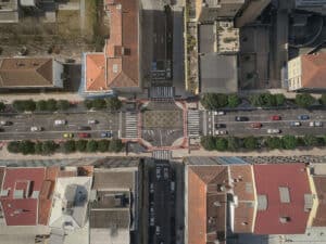 Av.Liberdade. "Falta de agilização" com BRT e eventual abate de árvores preocupa PAN
