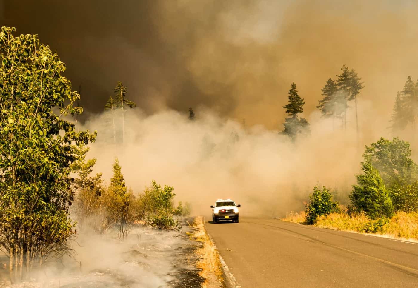 Portugal foi o 2.º país europeu mais afetado pelos fogos florestais em 2022