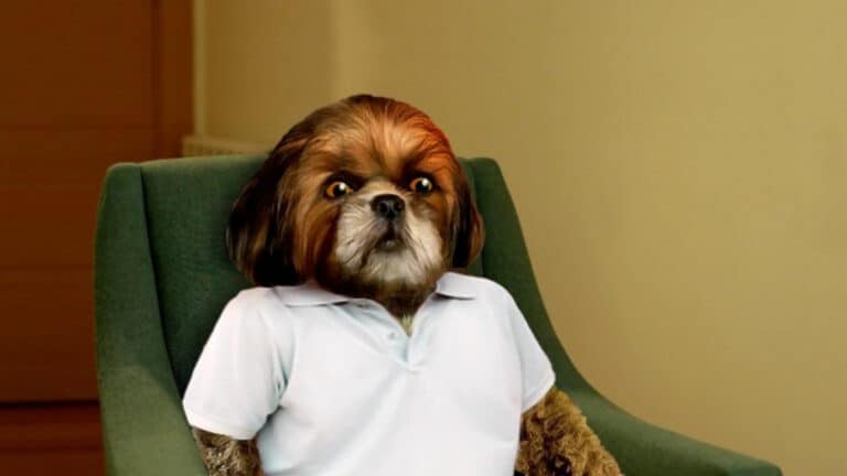 Wandson, Bruno Aleixo, PZ e Augusto Fraga no 'Enter the Void' do IPCA