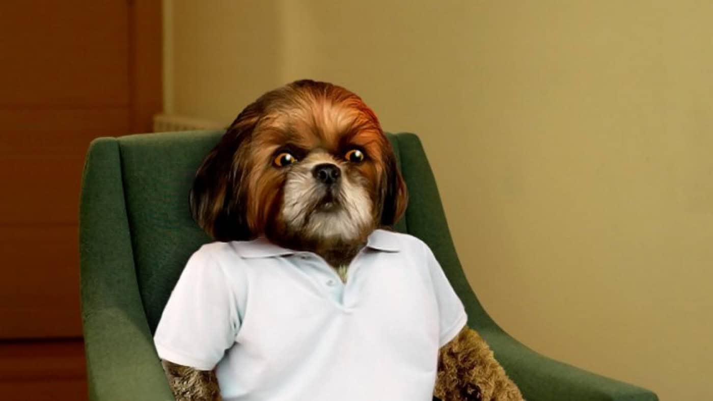 Wandson, Bruno Aleixo, PZ e Augusto Fraga no 'Enter the Void' do IPCA