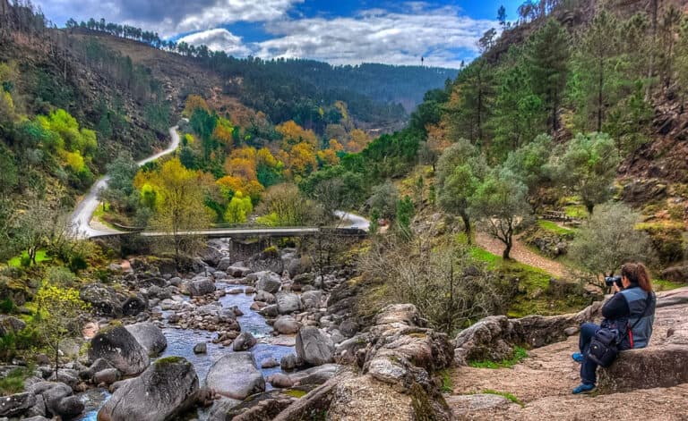 Clictour. Alterações climáticas podem originar quebras de 19% na silvicultura