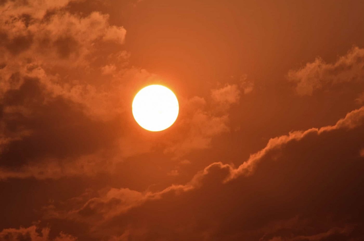 Mais de 60.000 mortos na Europa devido ao calor no verão de 2022