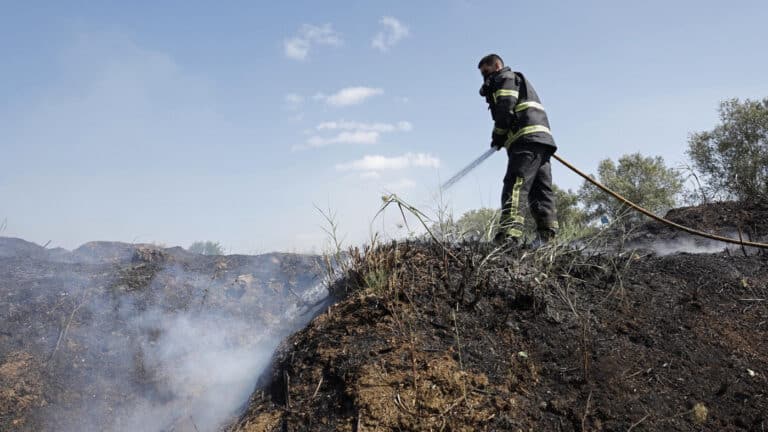 PJ deteve suspeito de atear incêndios em Barcelos por "fascínio do fogo"