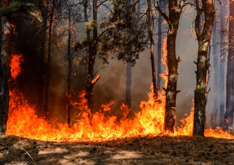 Monte Picoto com cinco focos de incêndio