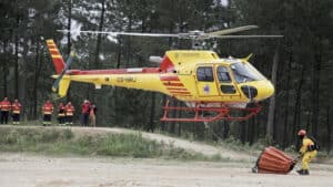 Incêndios. "Era suposto que houvesse um aumento das respostas e não a sua deslocalização"
