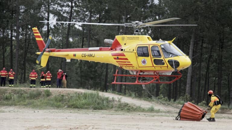 Incêndios. “Era suposto que houvesse um aumento das respostas e não a sua deslocalização”