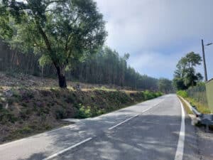 Estrada da Falperra com faixa de gestão de combustível duplicada