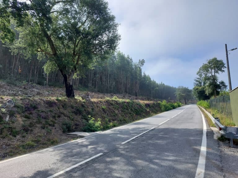 Estrada da Falperra com faixa de gestão de combustível duplicada