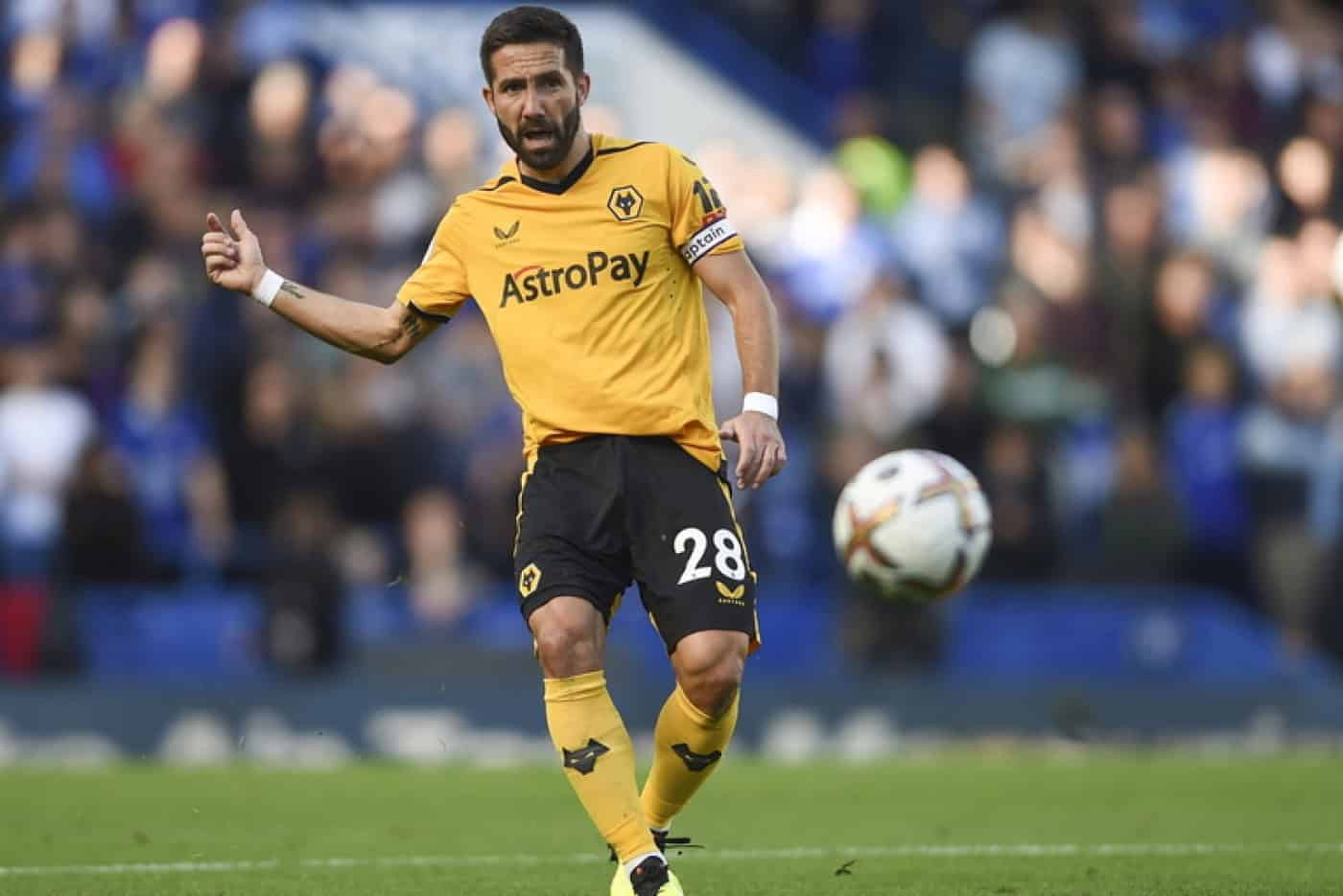 Moutinho não está no horizonte do SCB