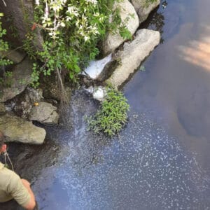 Descarga ilegal de empresa privada volta a poluir rio Este