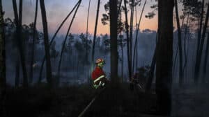 Incêndio de Vila do Conde dominado. Circulação na A7 já foi restabelecida