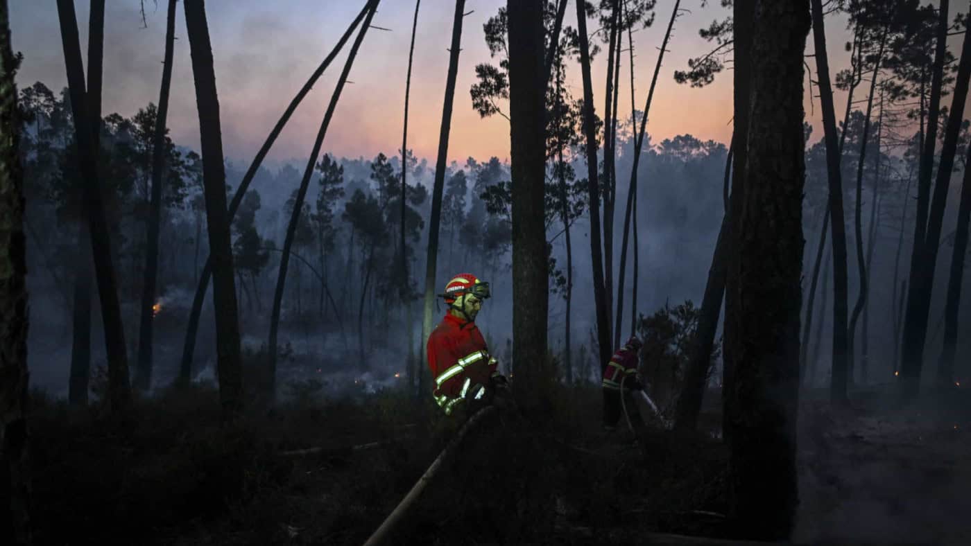 Incêndio de Vila do Conde dominado. Circulação na A7 já foi restabelecida