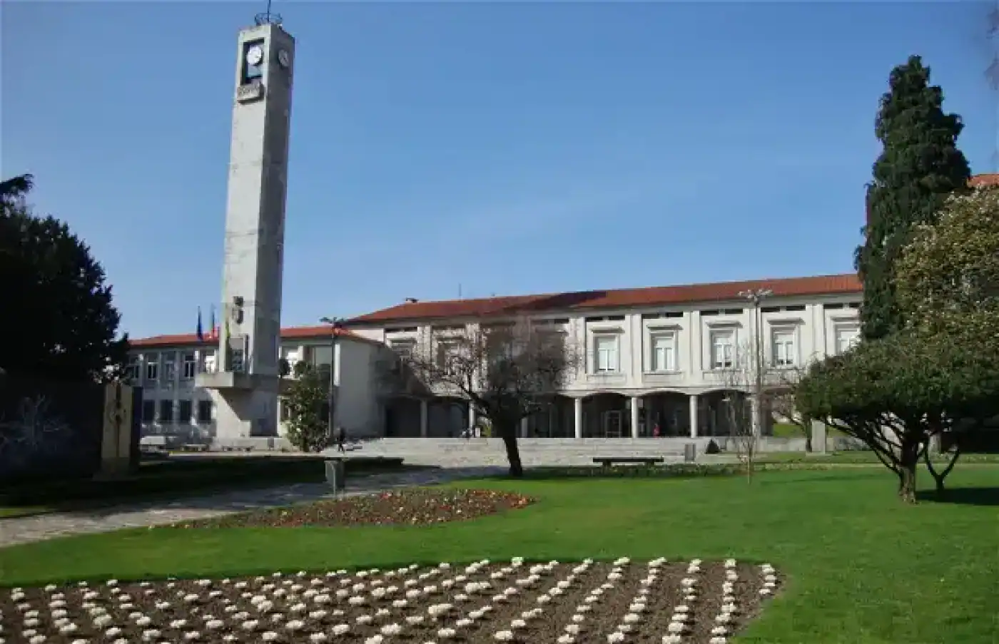 PAN preocupado com desflorestação em Lousado; Autarquia de Famalicão desconhece situação