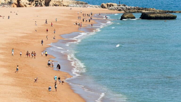 Restrições a banhos foram 48 este ano