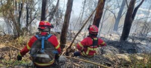 Mais de 80 concelhos de oito distritos em perigo máximo de incêndio 