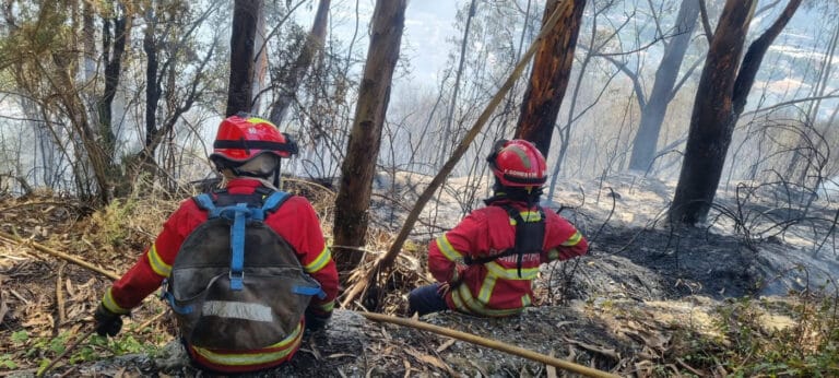 Mais de 80 concelhos de oito distritos em perigo máximo de incêndio