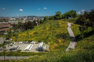 Projeto de aluna da UMinho identifica 28 espécies florísticas no Parque das Camélias
