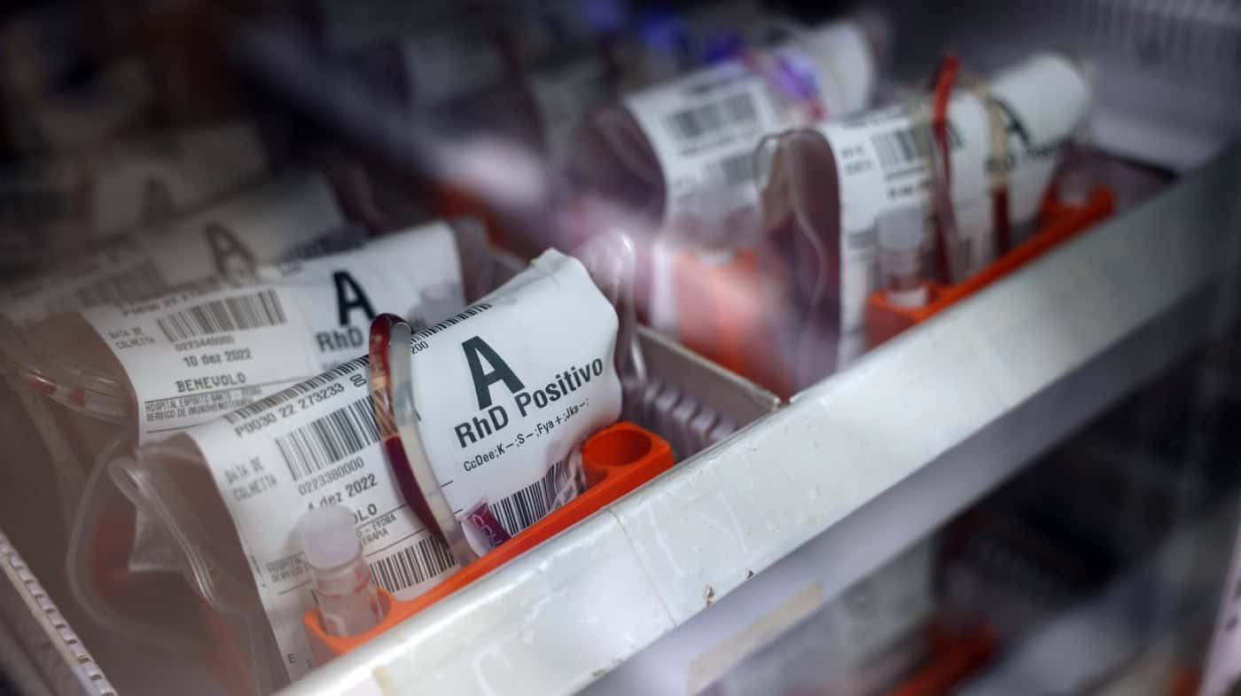"Precisamos que dê sangue já": reservas estão a dois dias do limite&nbsp;