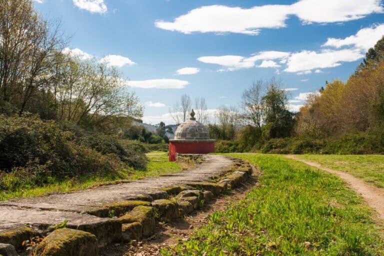 Liga Contra o Cancro de Braga promove caminhada solidária às Sete Fontes