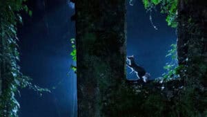 Amantes da fotografia desafiados a fotografar a natureza de Braga  