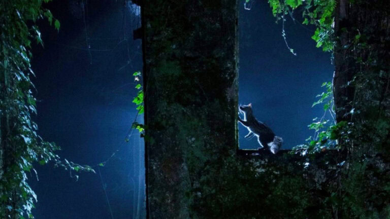 Amantes da fotografia desafiados a fotografar a natureza de Braga&nbsp;&nbsp;